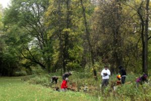 tree planting